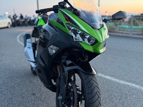 2019 Kawasaki Ninja 400, серый, 599999 рублей, вид 1