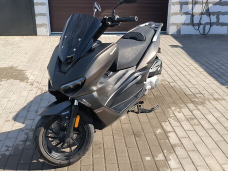 2023 Regulmoto Element 300, серый, 220000 рублей, вид 4