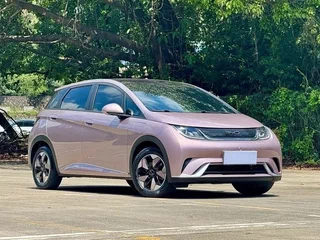 2025 BYD Dolphin I, розовый, 1435000 рублей, вид 3