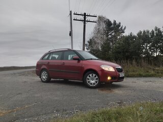 2008 Skoda Fabia II, красный, 495000 рублей, вид 2