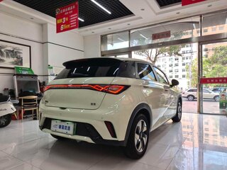 2025 BYD Dolphin 44.9 kWh I, белый, 1450000 рублей, вид 4