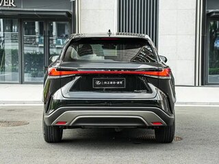 2025 Lexus RX 300 V, чёрный, 7642245 рублей, вид 5