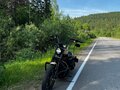 2014 Harley-Davidson Sportster 883, бежевый, 800000 рублей - вид 6
