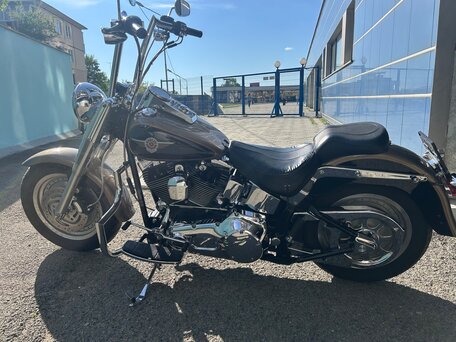 2004 Harley-Davidson Fat Boy, коричневый, 680000 рублей, вид 5