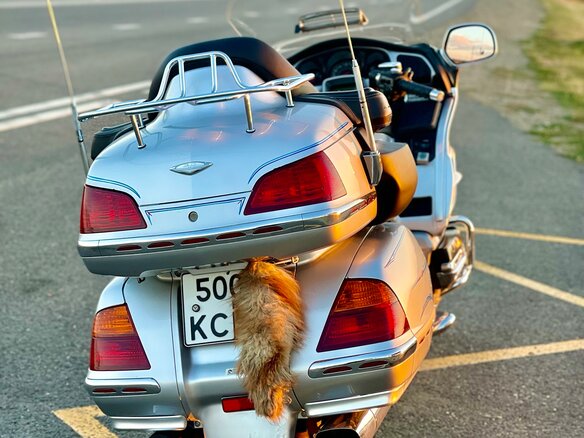 2005 Honda GL 1800 Gold Wing, серебристый, 1099000 рублей - вид 6