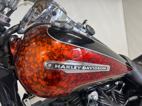2009 Harley-Davidson Fat Bob, пурпурный, 810000 рублей - вид 16