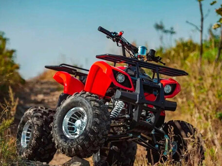 2025 Tiger Opti 150, красный, 116900 рублей, вид 3