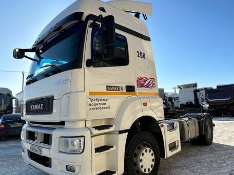 2020 КамАЗ 5490 NEO, белый, 4000000 рублей, вид 2