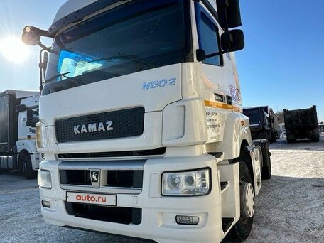 2020 КамАЗ 5490 NEO, белый, 4000000 рублей, вид 5