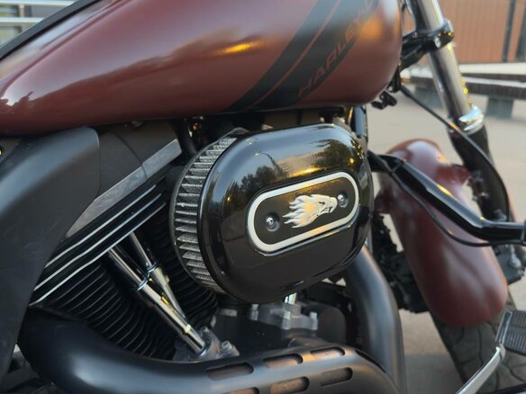2016 Harley-Davidson Fat Bob, коричневый, 1200000 рублей - вид 10