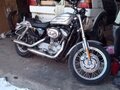 2004 Harley-Davidson Sportster 1200, серебристый, 675000 рублей - вид 1