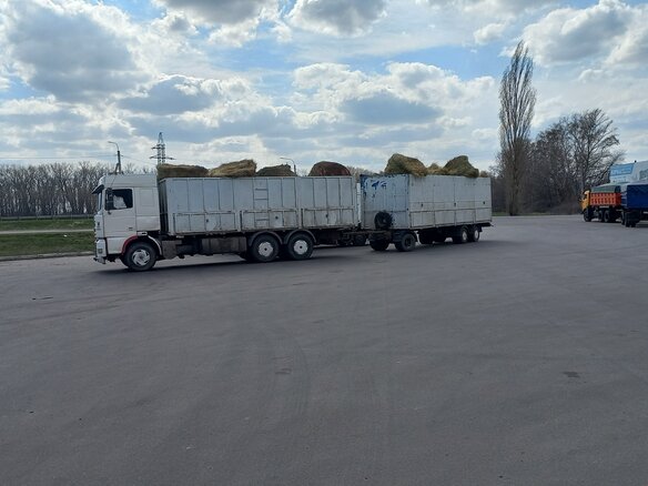 1994 DAF XF 95, белый, 1800000 рублей - вид 12