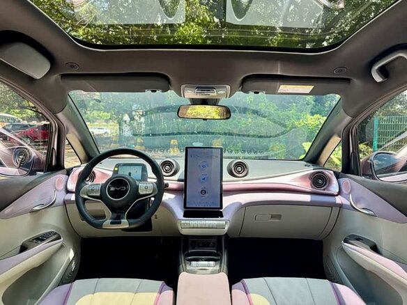 2024 BYD Dolphin 44.9 kWh I, розовый, 1250000 рублей - вид 10