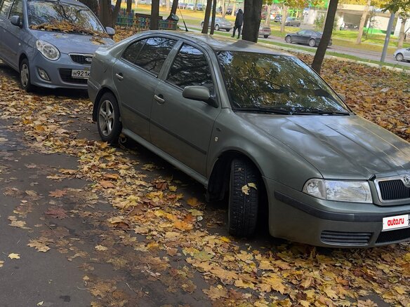 2002 Skoda Octavia I (A4) Рестайлинг, серый