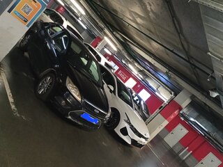 2008 Ford Focus II Рестайлинг, чёрный, 350000 рублей, вид 5