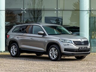 2020 Skoda Kodiaq I, серый, 2495000 рублей, вид 3