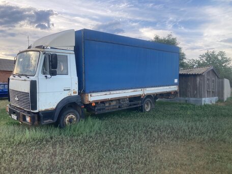 2007 МАЗ 4370, белый, 1000000 рублей, вид 3