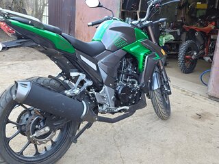 Regulmoto T-Leopard 300