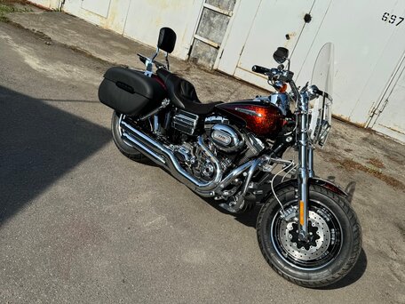 2009 Harley-Davidson CVO, золотистый, 1550000 рублей, вид 3