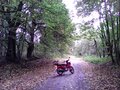 2023 Honda Cross Cub, красный, 290000 рублей - вид 7