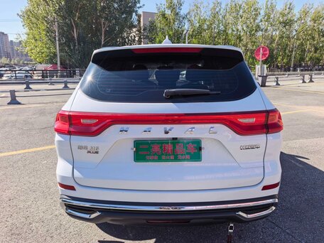2021 Haval M6 Plus II, белый, 1300000 рублей, вид 5
