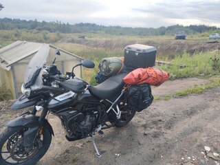 2022 Triumph Tiger 900, чёрный, 985000 рублей, вид 4