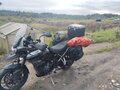 2022 Triumph Tiger 900, чёрный, 985000 рублей - вид 3
