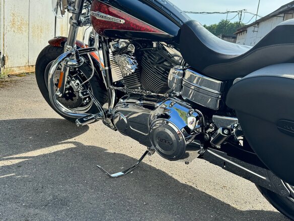 2009 Harley-Davidson CVO, золотистый, 1550000 рублей - вид 8