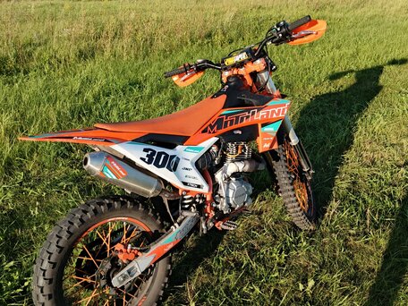 2025 Motoland Enduro 300, оранжевый, 150000 рублей, вид 5