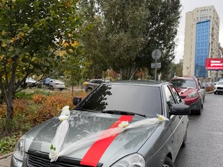 2011 Lada (ВАЗ) Priora I, серый, 310000 рублей, вид 2