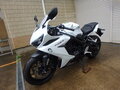2023 Honda CBR 650R, белый, 1150000 рублей - вид 9