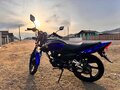 2023 Racer Tiger, синий, 95000 рублей
