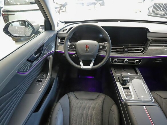 2025 Hongqi HS5 I Рестайлинг, серый - вид 19