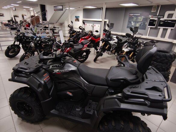 2026 Loncin XWolf 700, серый, 898000 рублей - вид 9