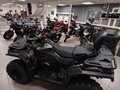 2026 Loncin XWolf 700, серый, 898000 рублей - вид 9