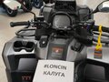 2026 Loncin XWolf 1000 Mud, серый, 1469000 рублей - вид 3