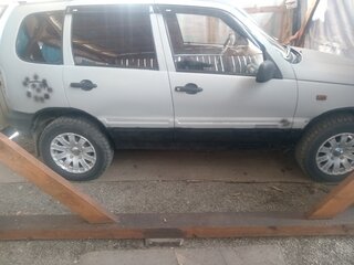2004 Chevrolet Niva I, серый, 250000 рублей, вид 2