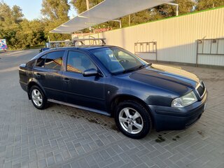 2009 Skoda Octavia I (A4) Рестайлинг, серый, 535000 рублей, вид 4