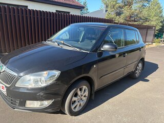 2010 Skoda Fabia II, чёрный, 285000 рублей, вид 5