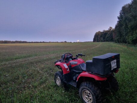 2003 Yamaha Grizzly 660, красный, 460000 рублей, вид 1