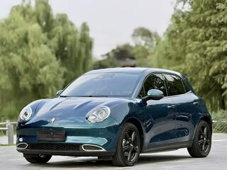 2024 Ora Good Cat 46 kWh I, зелёный, 1750000 рублей, вид 1
