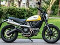 2015 Ducati Scrambler 800, жёлтый, 740000 рублей