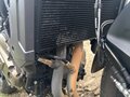2024 QJMotor SRK 700, красный, 575000 рублей - вид 7
