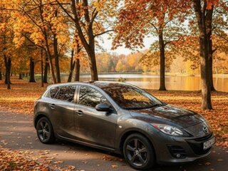 2010 Mazda 3 II (BL), серый, 840000 рублей, вид 5
