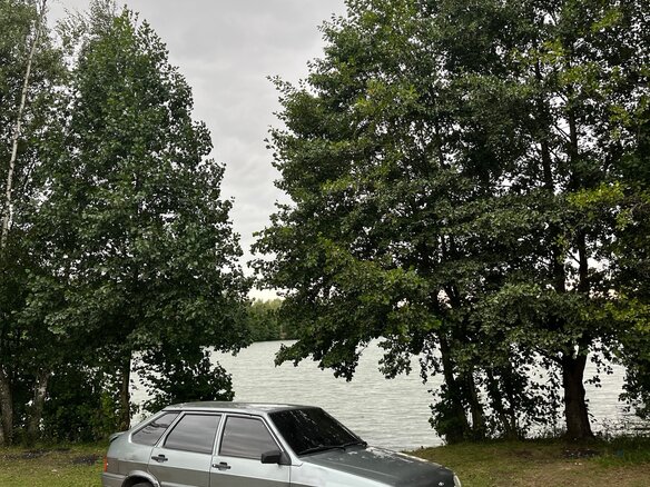 2009 Lada (ВАЗ) 2114, серый - вид 9