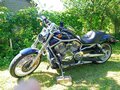 2008 Harley-Davidson V-Rod, синий