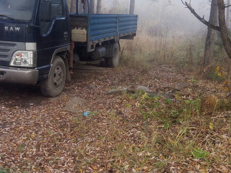 2007 BAW Fenix 1065, синий, 1250000 рублей, вид 3
