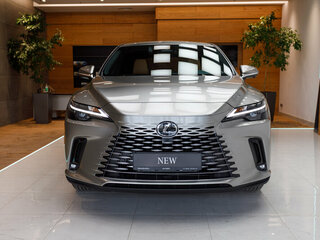2025 Lexus RX 300 V, серый, 8250000 рублей, вид 2