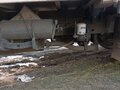 2005 Hyundai HD120, белый, 1250000 рублей - вид 4