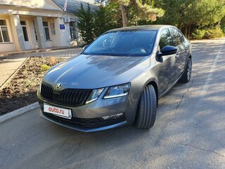 2019 Skoda Octavia III (A7) Рестайлинг, серый, 2400000 рублей, вид 3